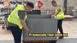 Hộp đựng bảng tổ ong 1220 * 1140 PP
