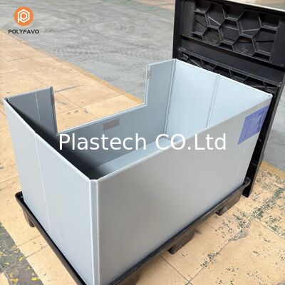 Thùng Pallet EuroBox Gấp Gọn Chắc Chắn Có Cửa Tiếp Cận và Nắp Thiết Kế Cho Sử Dụng Chuyên Nghiệp Trong Kho Công Nghiệp