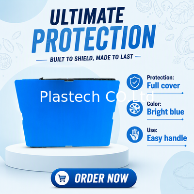 Thang chai Bảng polypropylene tế bào, PP Hollow Board Bottle Divider, Thang đóng gói chai rượu vang, nhẹ